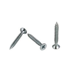 Meridyen 4.0x18 Sunta Vidası ( 50 Adet )